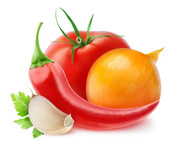 Ingredienser för ketchup — Stockfoto