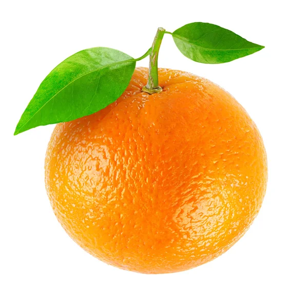 Orange — Stock Photo, Image