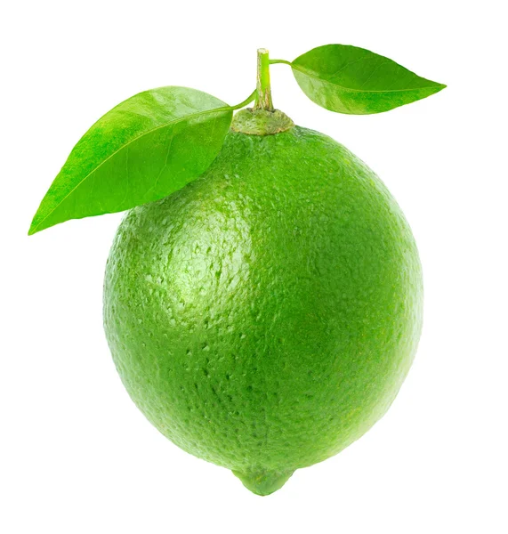 Fresh lime — Stock Photo, Image