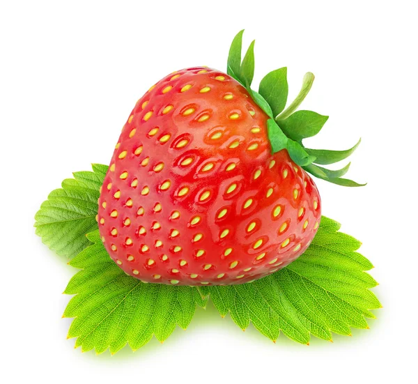 Fragola — Foto Stock