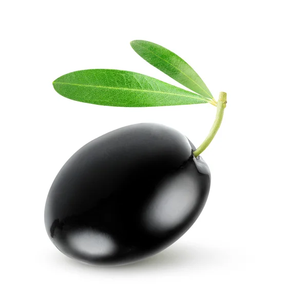 黑橄榄 — 图库照片