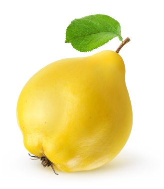 ayva