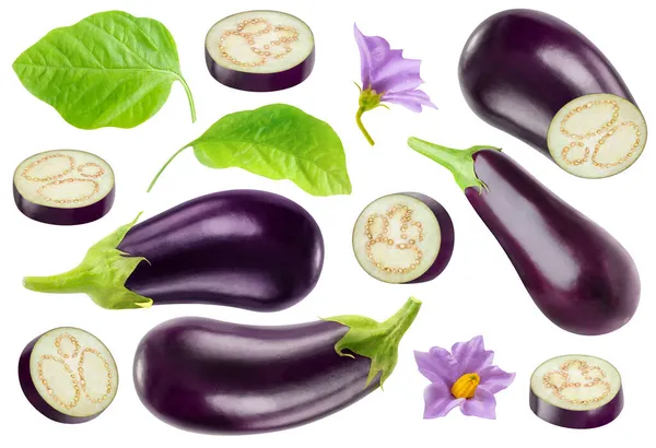 Isolated Aubergines Collection Pieces Eggplants Whole Fruits Leaves Flowers Isolated — Stock Photo, Image