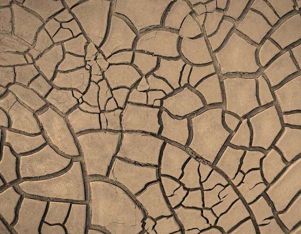 Tierra Marrón Seca Agrietada Textura Estéril Tierra —  Fotos de Stock