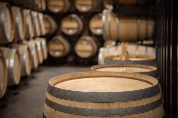 Top Oak Wine Barrel Front Soft Focused Wine Cellar Interior — Stock Photo, Image