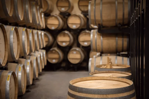 Wine Cellar Interior Background Wooden Barrel Copy Space Top Selective — стоковое фото