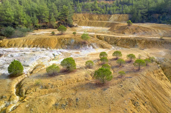 Restoration Old Opencast Copper Mine Young Pine Trees Growing Old — 스톡 사진