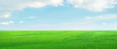 Açık mavi gökyüzünün altında, bulutlu yeşil tarlalar, manzara manzarası
