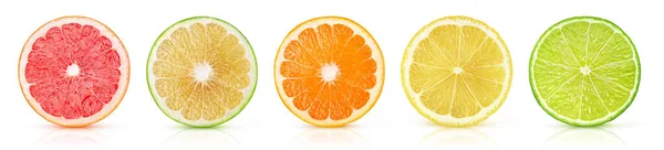 Zitrusfruchtscheiben Grapefruits Orange Zitrone Limette Einer Reihe Auf Weißem Hintergrund — Stockfoto