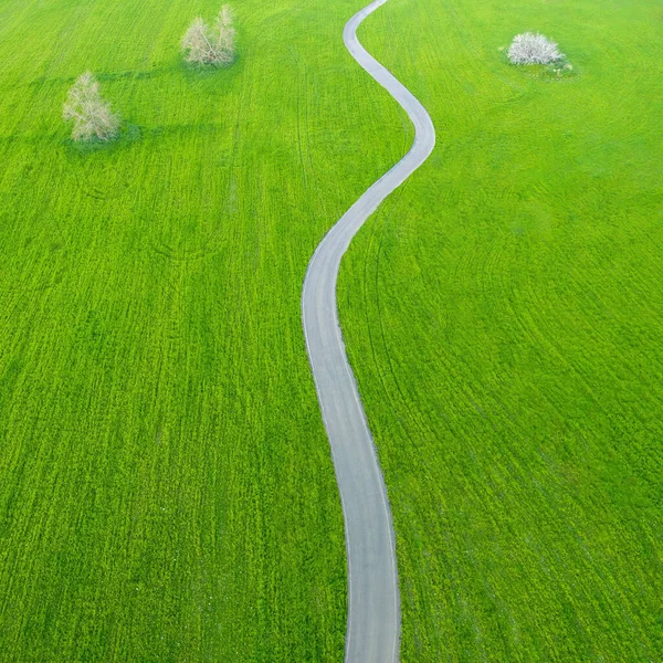 Asphalt Countryside Road Winding Fields Green Grass Trees Aerial Minimalistic — Zdjęcie stockowe