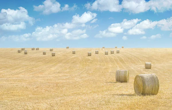 Hay Bales Field Dried Grass Blue Sky Clouds Rural Landscape — Fotografia de Stock