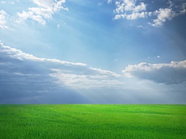 Mavi gökyüzünün altındaki yeşil çimenler dramatik bulutlar ve güneş ışığı, manzara