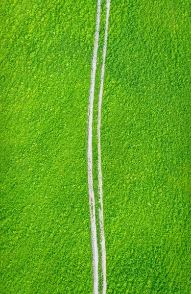 Pole Zielonej Trawy Białą Nieutwardzoną Drogą Śladami Opon Widok Pionowy — Zdjęcie stockowe