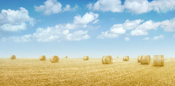 Hay Bales Field Dried Yellow Grass Blue Sky Clouds Countryside — Fotografia de Stock