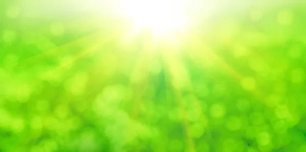 Green Yellow Nature Bokeh Sunshine Abstract Background — 스톡 사진