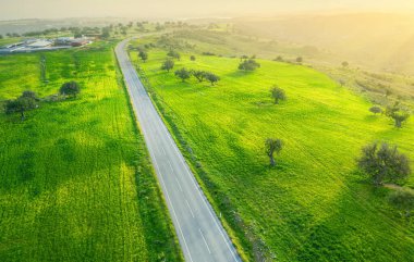 Yeşil tarlalar, boş yollar ve uzak bir çiftlik. Drone kırsal arazisi