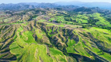 Troodos mountains, Cyprus. Agricultural fields on mountainous terrain