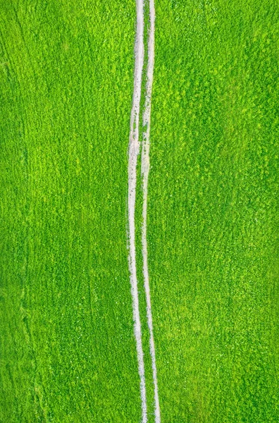 穿过绿地的未铺好的乡村道路 无人驾驶飞机从正上方俯瞰 — 图库照片