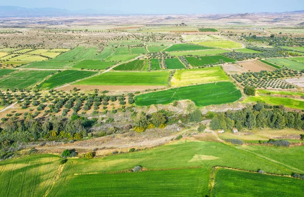 Patchwork Landscape Agricultural Fields Nicosia Area Cyprus — Zdjęcie stockowe