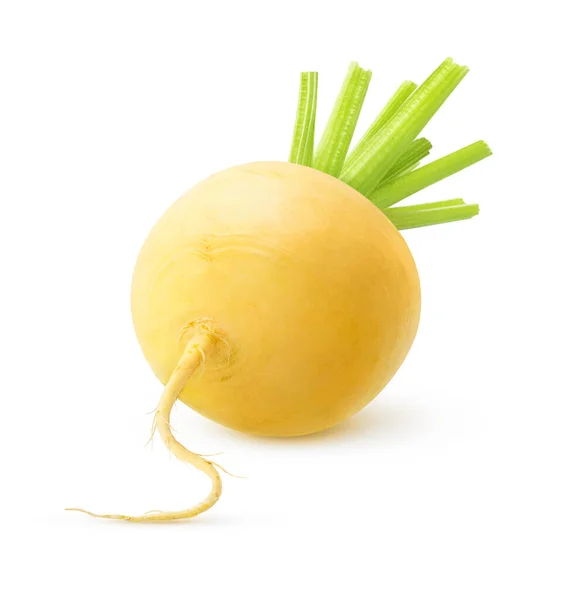 One Yellow Turnip Isolated White Background — Stock Photo, Image