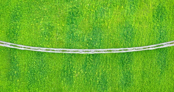 车辙穿过绿草的泥泞道路 空中俯瞰 — 图库照片