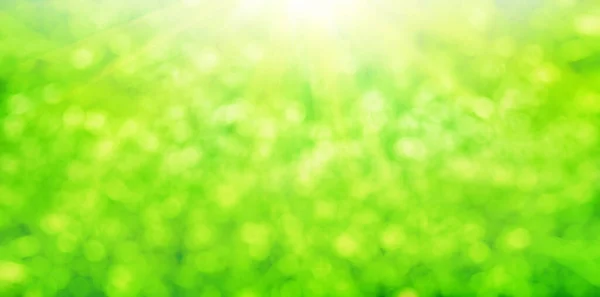 明るい緑の葉の上に太陽の光ボケ 柔らかいフォーカス自然背景 — ストック写真