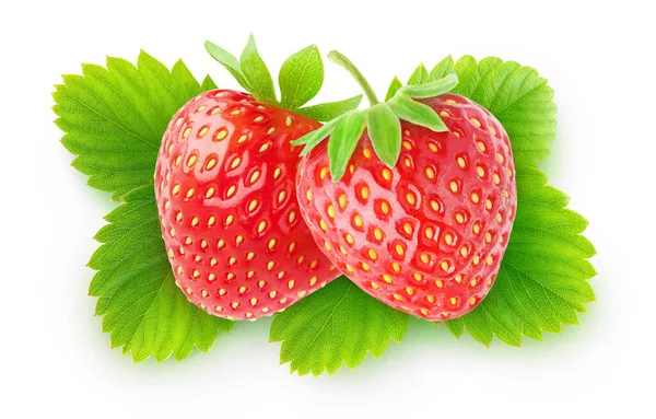 Vereinzelte Erdbeeren Zwei Erdbeerfrüchte Über Blättern Isoliert Auf Weißem Hintergrund — Stockfoto