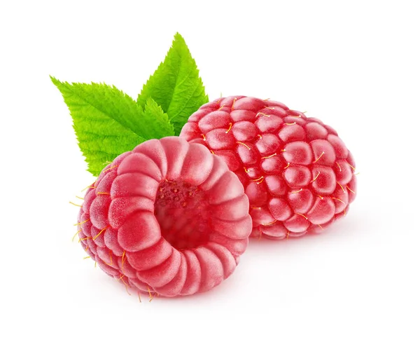 Two Raspberry Fruits Leaf Isolated White Background — Stockfoto