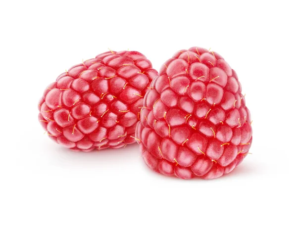 Two Fresh Raspberries Isolated White Background — Stock Photo, Image