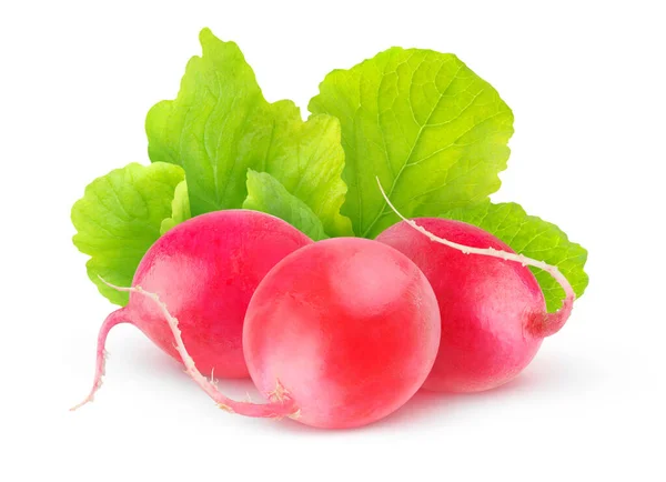 Fresh Red Radishes Leaves Isolated White Background — Stock Photo, Image