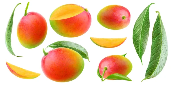 Isolated Mango Collection Multicolored Red Green Mango Fruits Different Shapes — 스톡 사진