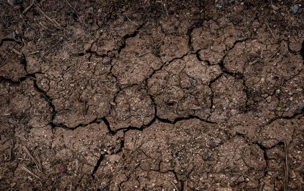 Draught Background Dried Cracked Surface Agricultural Field View — Stok fotoğraf