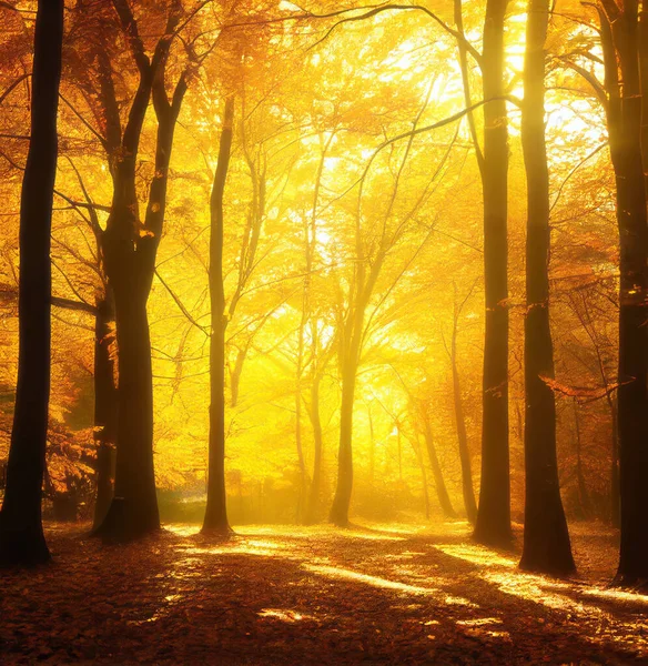 秋天森林里迷人的金色阳光 背光的树型轮廓和黄色的叶子 基于神经网络渲染的数字图像 — 图库照片