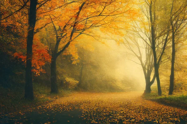 Mattina Nebbiosa Parco Durante Autunno Alberi Colorati Foglie Cadute Fitta — Foto Stock