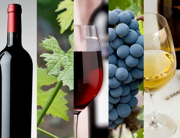 Weincollage — Stockfoto