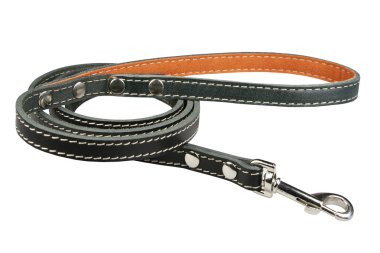 bir köpek için kurşun