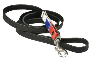 bir köpek için kurşun