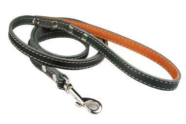 bir köpek için kurşun