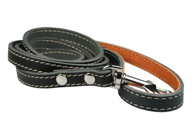 bir köpek için kurşun