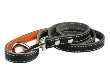 bir köpek için kurşun