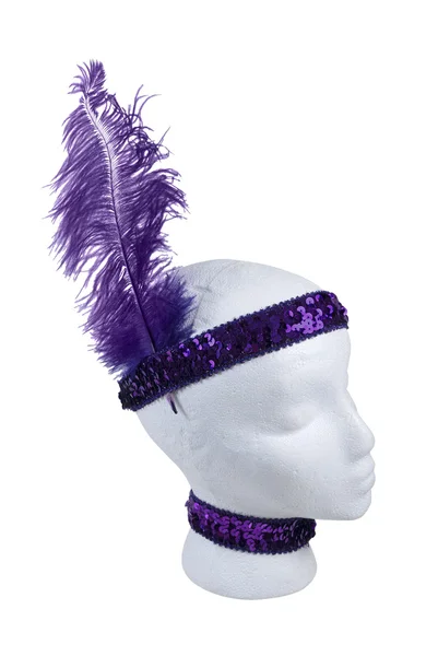 Sequin Choker and Headband with Feather — Stock Photo, Image