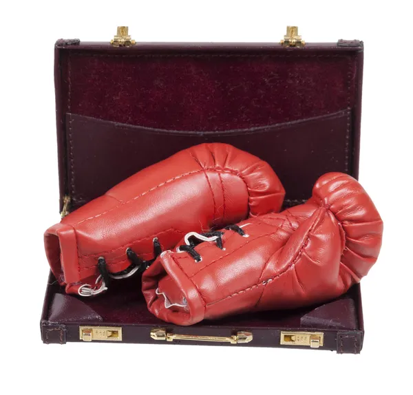 Boxing Gloves in a Briefcase — Stock Photo, Image