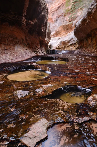 V metru v národní park zion — Stock fotografie