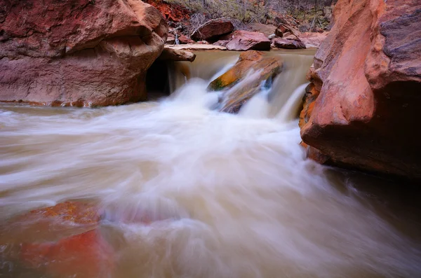 Río Virgen en el Parque Nacional de Zion — Foto de Stock