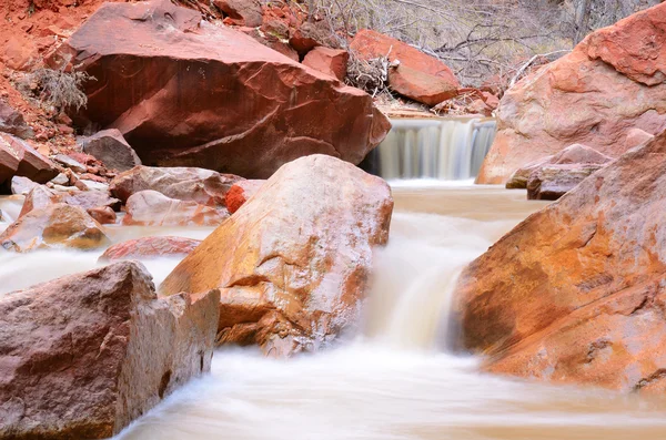 Jungfräulicher Fluss im Zion Nationalpark — Stockfoto