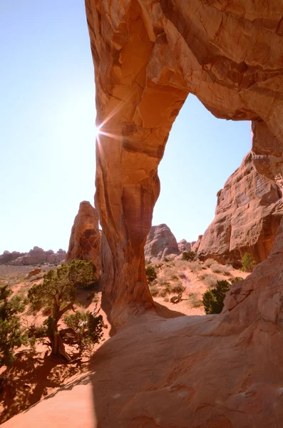 Sunburst på pine tree arch i arches national park — Stockfoto