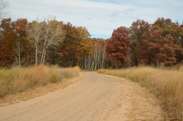 Feldweg führt durch Wald — Stockfoto