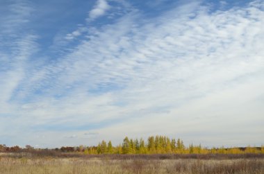 bulutlar abovetamaracks Güz