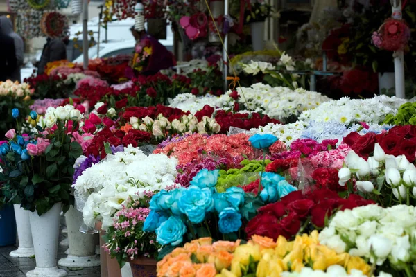 Florista — Fotografia de Stock