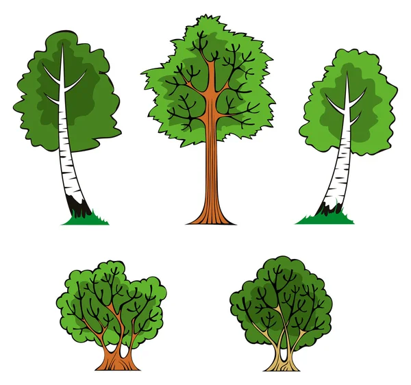 Árvores e arbustos —  Vetores de Stock